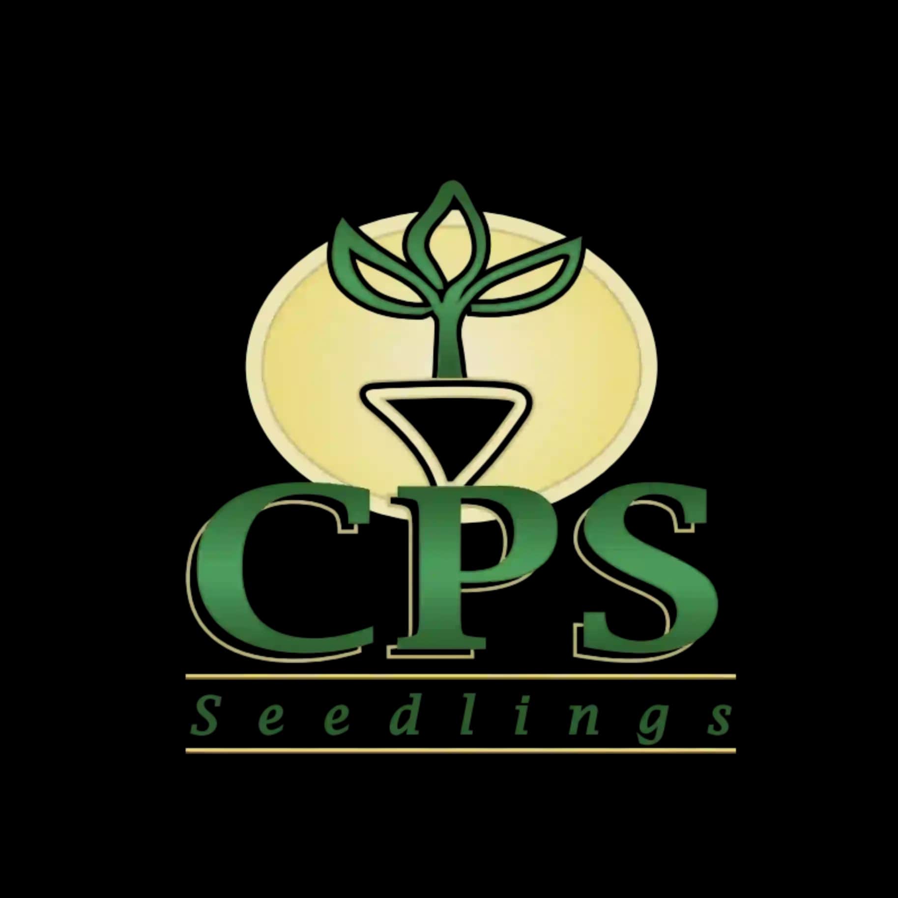 CPS Seedling
