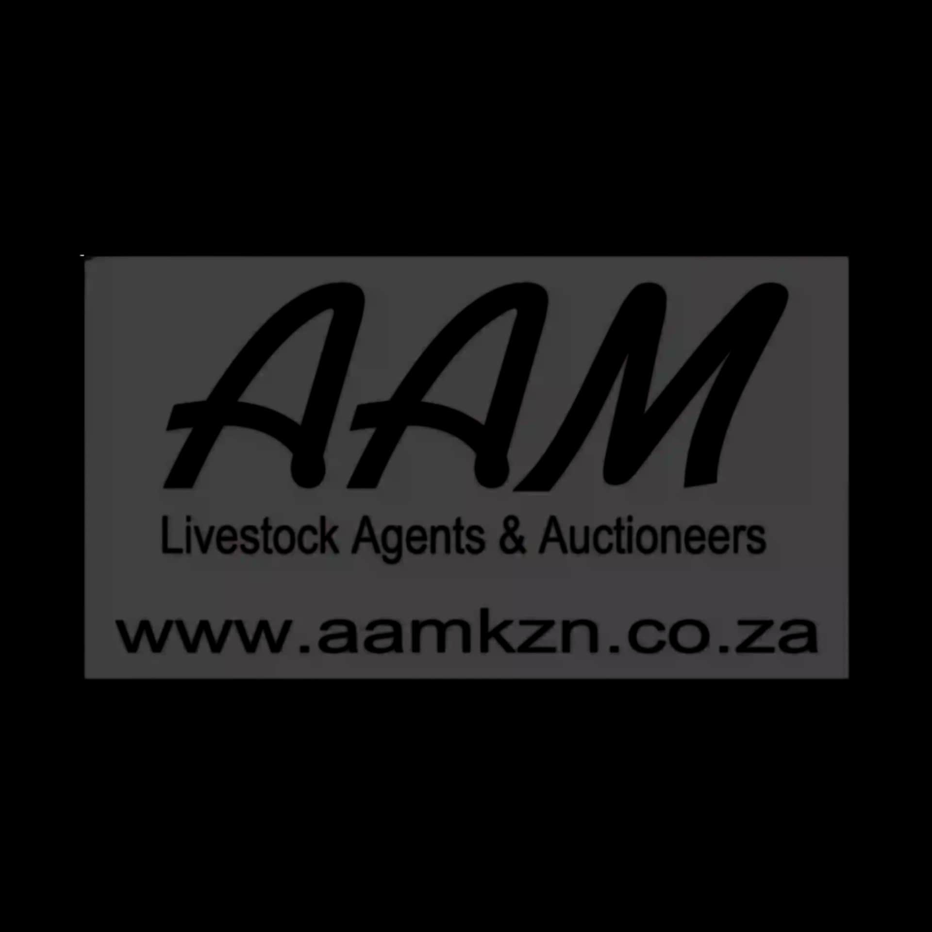 AAM Logo