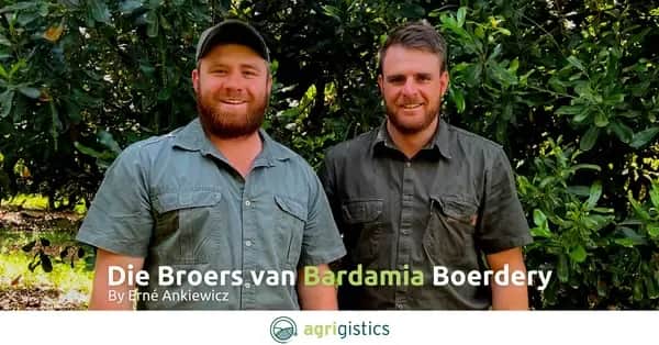 brothers smiling of bardamia farm