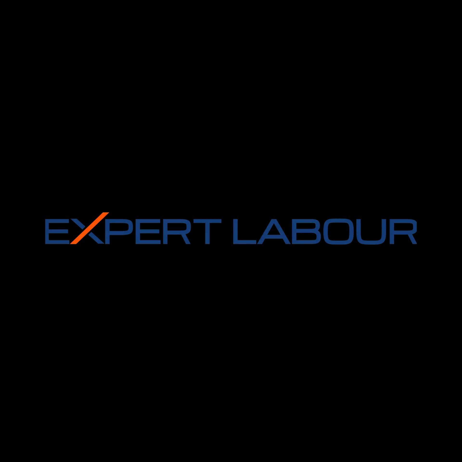Expert Labour